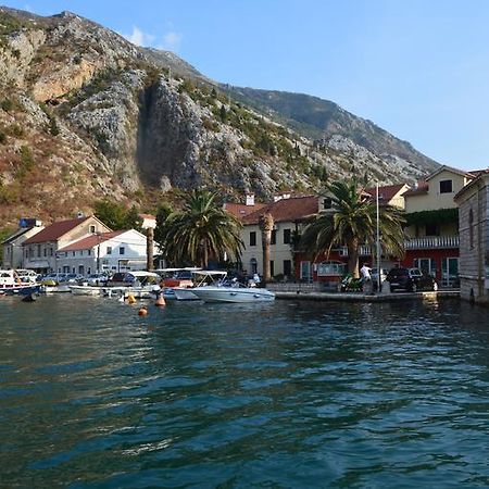 Apartments Qualitas Kotor Buitenkant foto