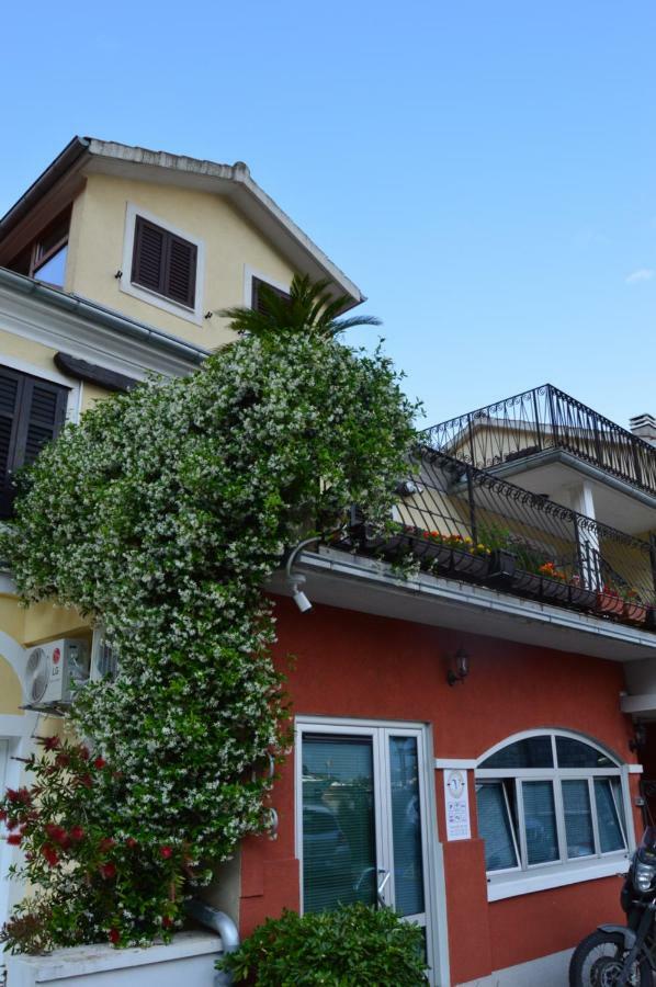 Apartments Qualitas Kotor Buitenkant foto